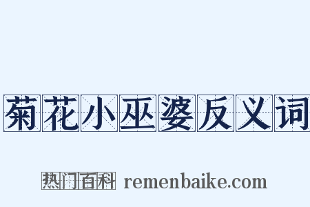 菊花小巫婆反义词是什么意思的图片